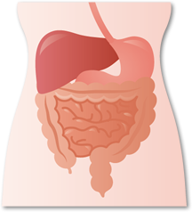 エネルギーを吸収抑制